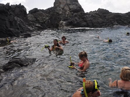 ABC Tours Jeep Safari... ABC Tours Jeep Safari (20 June 2010)