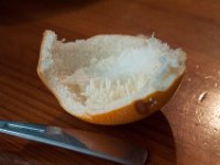 DSC_0205 Granadilla fruit -- Lunch in Mindo (Mindo, Ecuador) - 29 December 2015