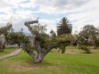 DSC_9899 The grounds -- Mountain Views Inn (Tumbaco, Ecuador) - 26 December 2015 - 2 January 2016