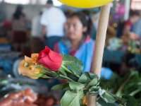 DSC_9928 Tumbaco Farmer's Market (Tumbaco, Ecuador) - 27 December 2015