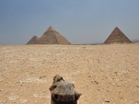 DSC_7289 Visting the Giza Pyramids & The Sphinx - Giza, Egypt -- 30 June 2013