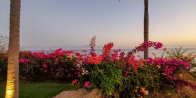 2023-02-18 19.15.42 null