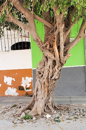 2023-02-19 12.54.47 null