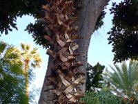 2017-01-01 15.32.10 A visit to Monaco over the holidays (La Côte d'Azur, France) -- 1 January 2017