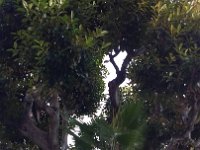 2017-01-01 15.32.34 A visit to Monaco over the holidays (La Côte d'Azur, France) -- 1 January 2017
