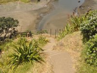 DSC_1329 The climb up Lion Rock - Piha Beach (Piha, New Zealand)