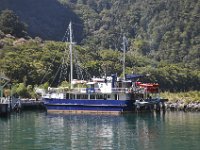 DSC_0807 Cruize Milford Sound (Milford Sound, New Zealand)