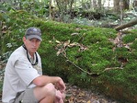 DSC_9997 Rain Forest (Fraser Island, Queensland, Australia)