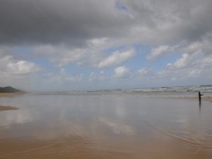 Fraser Island...