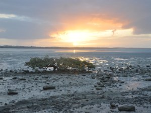 Sunset at Hervey Bay