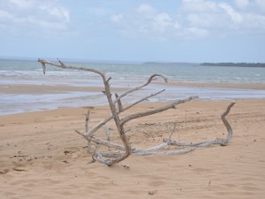 The Beach at Hervey Bay