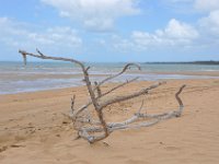 DSC_9790 The Beach (Hervey Bay, Qeensland, Australia)