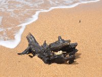 DSC_9833 The Beach (Hervey Bay, Qeensland, Australia)