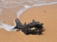 DSC_9834 The Beach (Hervey Bay, Qeensland, Australia)