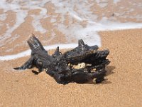 DSC_9835 The Beach (Hervey Bay, Qeensland, Australia)