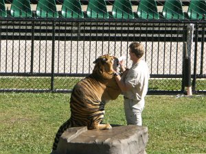 Australian Zoo