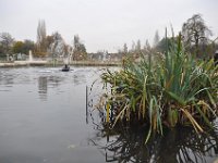 DSC_0447 The Italian Gardens - A visit to Kensington Gardens (London, UK) -- 28 November 2013