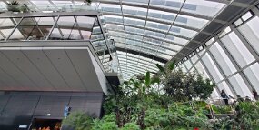 20260220_140946 null