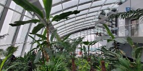 20260220_141429 null