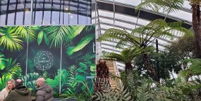 20260220_141931 null