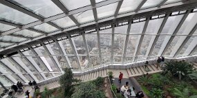 20260220_142944 null