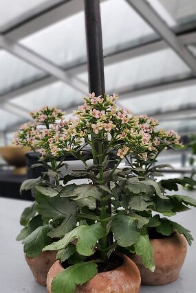 20260220_143016 null