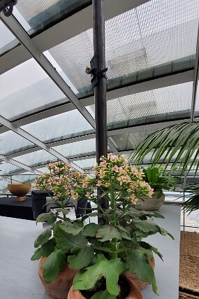 20260220_143026 null