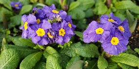 20260220_154025 null