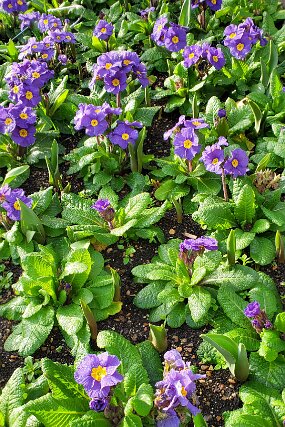 20260220_154041 null