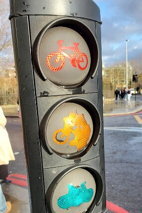 20260220_154232 null