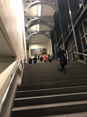 20181123_122508_IMG_1579 null