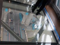 DSC_1035 Tower Bridge Glass Floor -- Tower Bridge Exhibition (London, UK) -- 14 February 2016