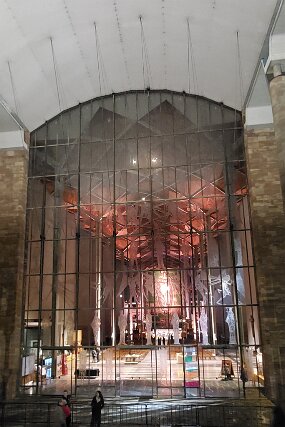 20221124_181518 null