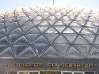 DSC_4277 The Bloedel Floral Conservatory (Queen Elizabeth Park)