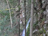 DSC_4299 Lynn Canyon Suspension Bridge (Lynn Canyon Park)