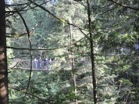 DSC_4307 Lynn Canyon Suspension Bridge (Lynn Canyon Park)