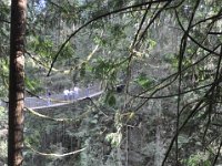 DSC_4309 Lynn Canyon Suspension Bridge (Lynn Canyon Park)