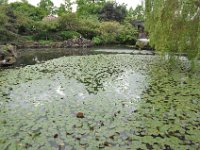 DSC_6492 A visit to the Dr. Sun Yat-Sen Park (Vancouver, British Columbia, Canada) -- 25 May 2013