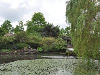 DSC_6493 A visit to the Dr. Sun Yat-Sen Park (Vancouver, British Columbia, Canada) -- 25 May 2013