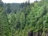 DSC_6619 Cleveland Dam/Capilano Watershed/Capilano Reservoir (Vancouver, British Columbia) -- 26 May 2013