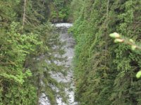 DSC_6661 Capilano Suspension Bridge Park (Vancouver, British Columbia) -- 26 May 2013