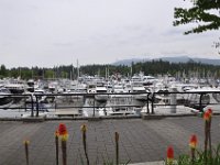 DSC_6768 Coal Harbour