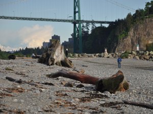 Lions Gate Bridge Lions Gate Bridge (27 May 2011)