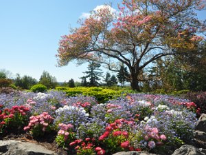 Queen Elizabeth Park Queen Elizabeth Park (28 May 2011)