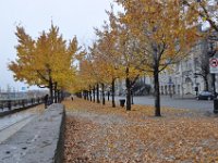 DSC_2219 Old Montreal (Vieux-Montréal) 15 November 2009