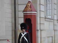 DSC_3514 Changing of the guard -- Copenhagen, Denmark (9 September 2012)