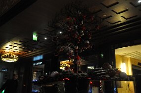 DSC_2260 null
