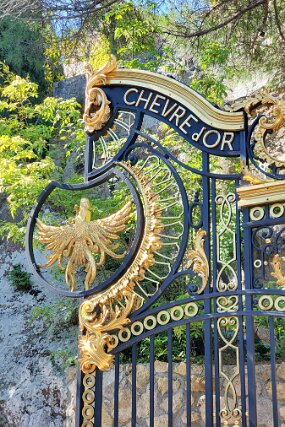 20250425_110552 null