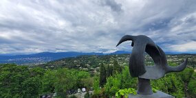 20250427_145229 null