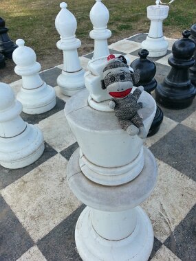 20160415_162428_HDR null